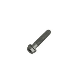 TORNILLO 8.40 ALP 200/08 - 1155510000