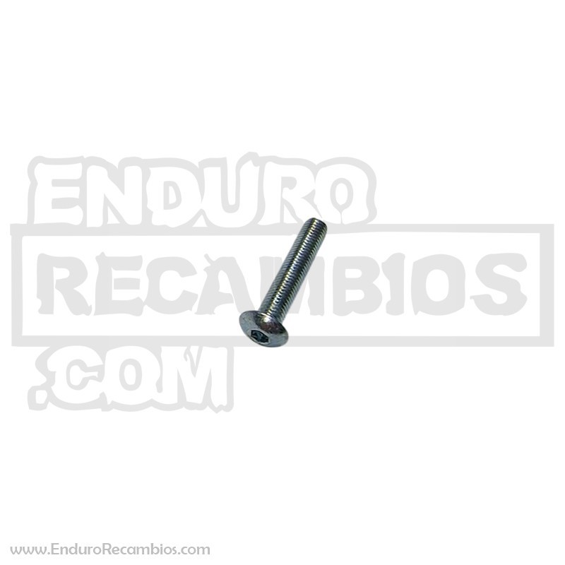 TORNILLO TBCE 5.30 - 3196831000