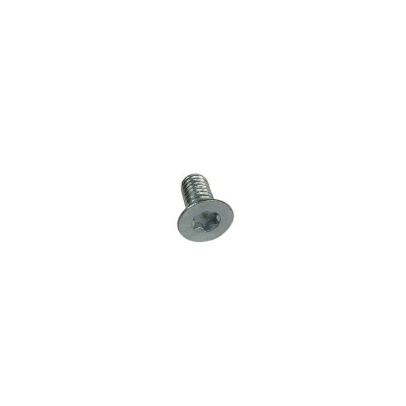 TORNILLO TSP TORX M6X12 - 10.9/12.9 - C24900020000