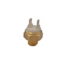TERMOINTERRUPTOR TEMPERATURA TR.70/60 - 2911960000