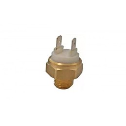 TERMOINTERRUPTOR TEMPERATURA TR.70/60 - 2911960000