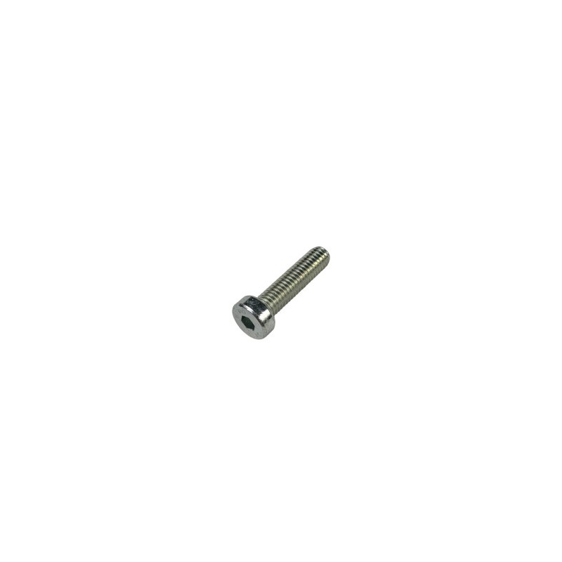 TORNILLO ALLEN 5 X 20 250-300cc XTRAINER 3130015000