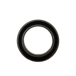 COJINETE 61805-2RS1 - 1293405000