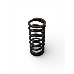 MUELLE EMBRAGUE - 035030110000