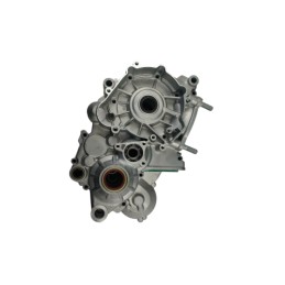 CARTER MOTOR RR 2T 250 - 026010458000