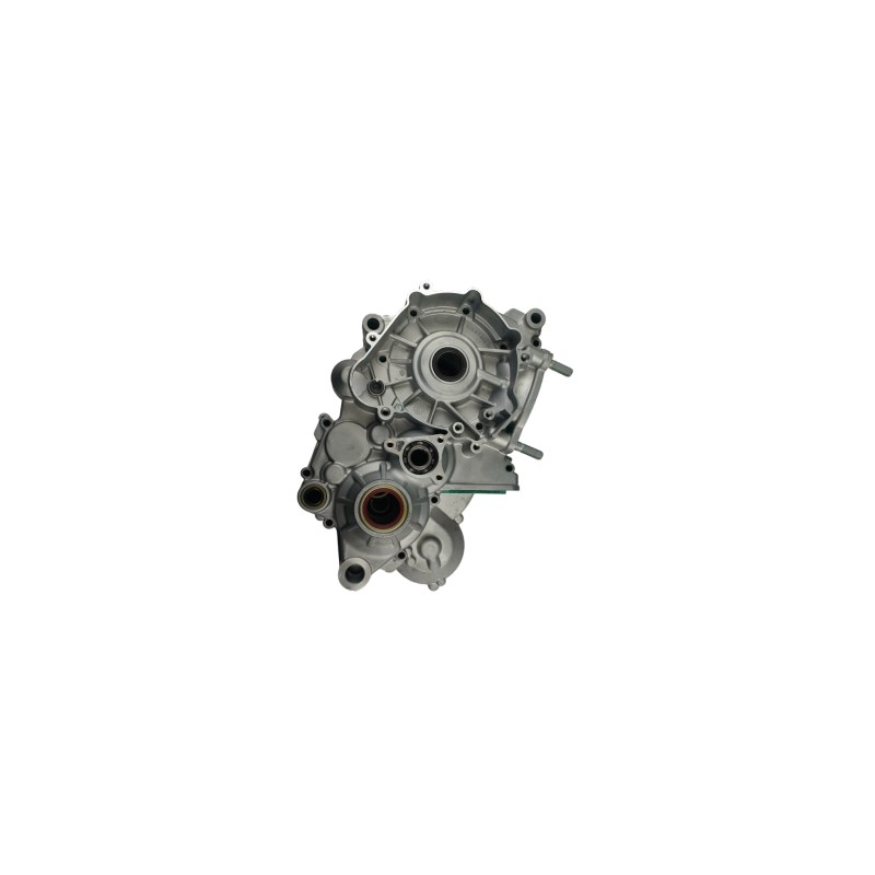 CARTER MOTOR RR 2T 250 - 026010458000