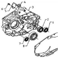CÁRTER DERECHO AJP PR5 10-12 (Tabla 09)