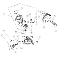 INYECCIÓN AJP PR5 10-12 (Tabla 20)
