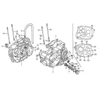 CÁRTERES AJP PR4 08-12 (Tabla 06)