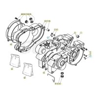 Carter 125 Factory