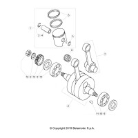 Ciguenal/piston