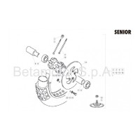Rueda Delantera Senior Senior