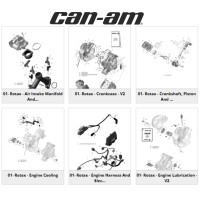 Recambio Original Can-Am
