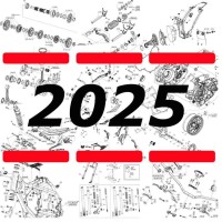 Año 2025