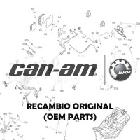Despieces de Can-Am