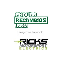 CDI estilo OEM Honda XL600V Transalp 1989-1990 Ricks...