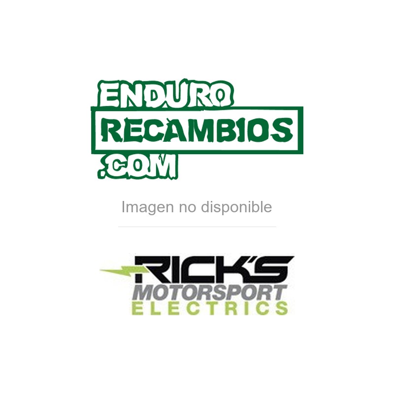 Estátor Rick's Motorsport Electric KTM Hot Shot