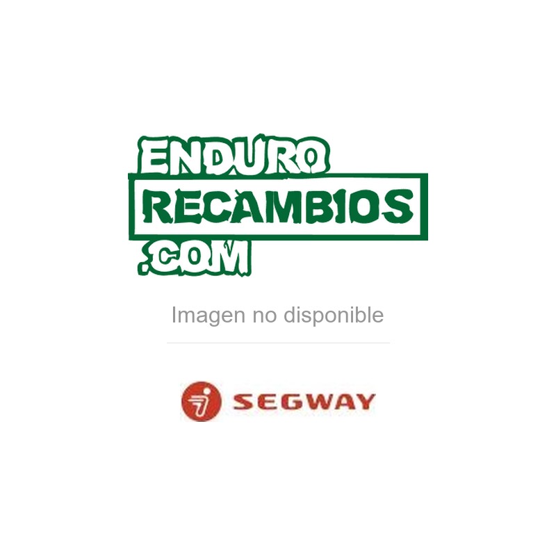 PANEL DE PUERTA IZQUIERDO - BLANCO - S01H15100002 | Repuestos Segway