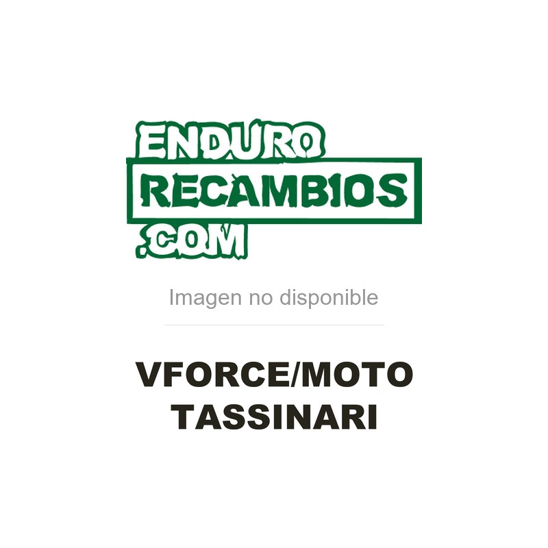 Caja de láminas V-Force 4X de carbono Vforce/moto Tassinari KTM / Husqvarna / GasGas