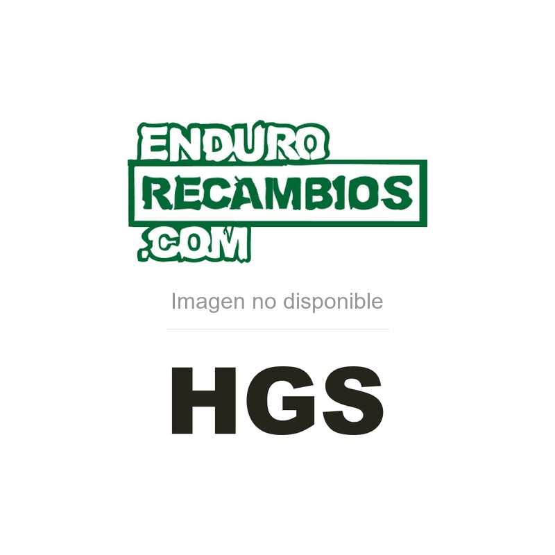 Escape completo 2 tiempos HGS SX 50 2009-2023 - XT-509-H00