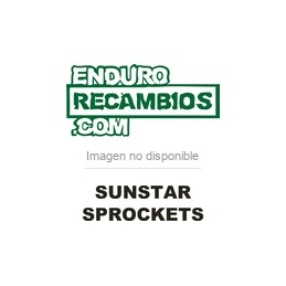 Piñón Sunstar Sprockets 13 dientes paso 520 negro