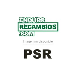 Protector de disco trasero PSR gun metal