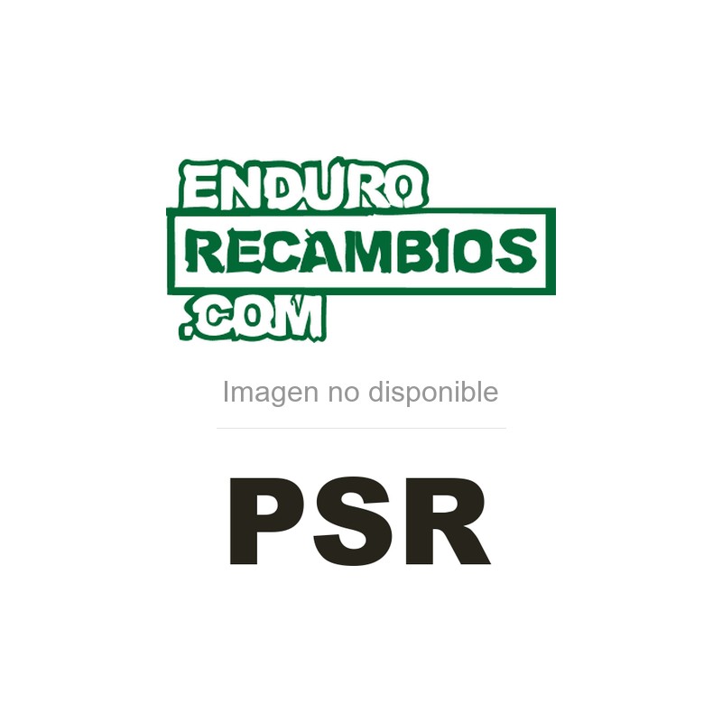 Protector de disco trasero PSR gun metal
