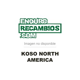Piloto trasero LED con cristal ahumado Koso North America