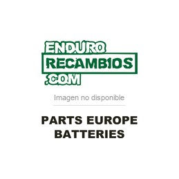 Batería de alta resistencia Parts Europe Batteries 51913...