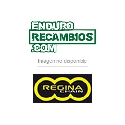 Cadena O-Ring Regina ZSE paso 520 114 eslabones dorada
