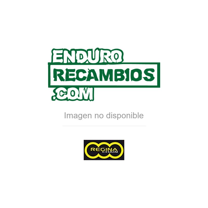 Cadena Regina RH2 paso 428 140 eslabones dorada